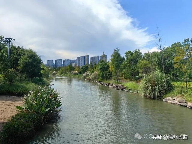 浙南最大的乡镇湿地公园原来在这里!