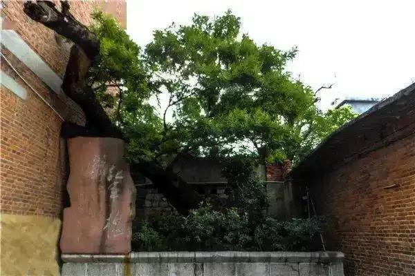 [贵州 六盘水市（盘州市）]