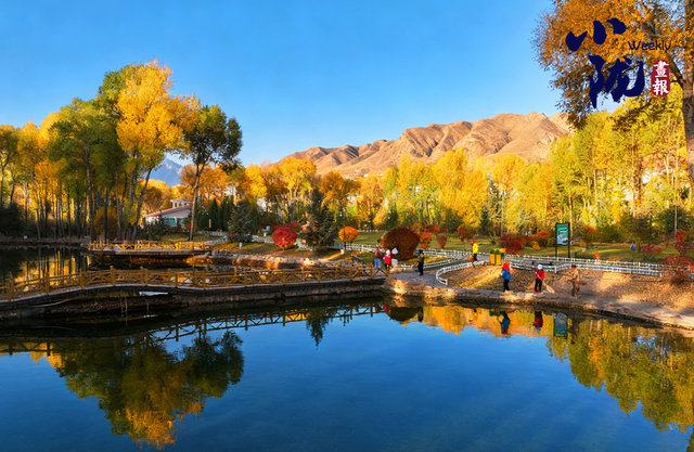 【小陇画报·426期】肃南：多彩秋日 满目金黄