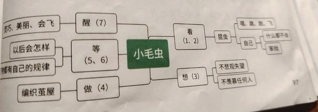 小毛虫的启示