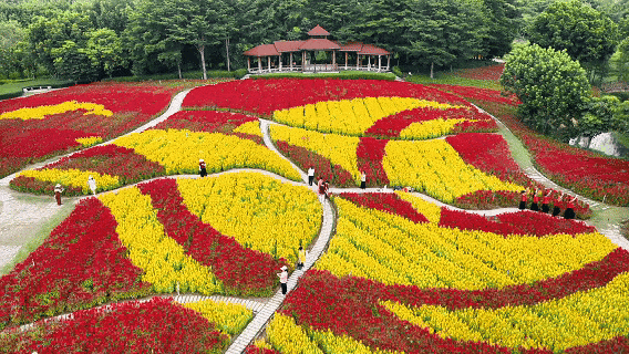 园博苑灯会、市集“常驻”啦！还有绝美花海……
