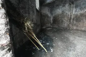 垃圾房离居民楼不足十米 社区：若违章对接物业拆除图片