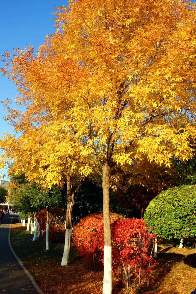 进度已达90%！呼和浩特进入全盛期！最近每天都不一样，呼市人抓紧出门