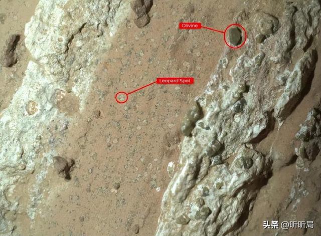 火星岩石蕴含生命线索？惊人发现可能会改变历史！样本返回成关键