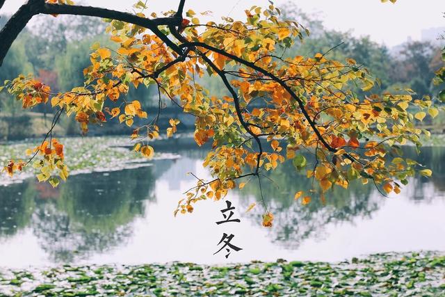 这不是迷信！“最怕立冬是雨天	”，今日立冬	，下雨啥预兆？