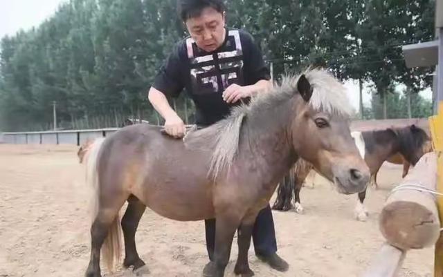 不查不知道一查吓一跳，坐拥北京60亩马场的于谦，私下到底有多壕