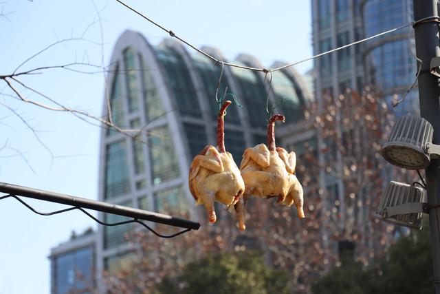 藏在杭州老城的800年风雅｜德寿宫×御街×五柳巷