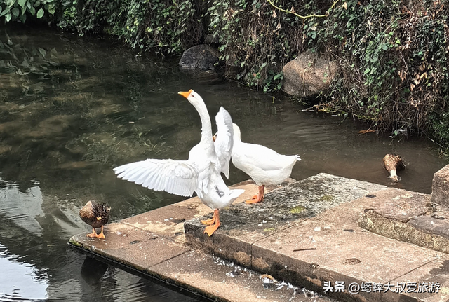 这个“唐代古村落”秋冬太美了，有水口园林之殊，名家碑刻之雅！