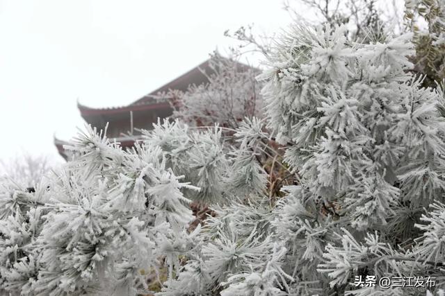 绝美!三江大塘坳惊现“琉璃仙境”!
