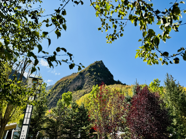 这么好看，不愧是遮阳山的秋天！
