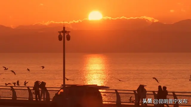 寻找旅居晋宁的密码