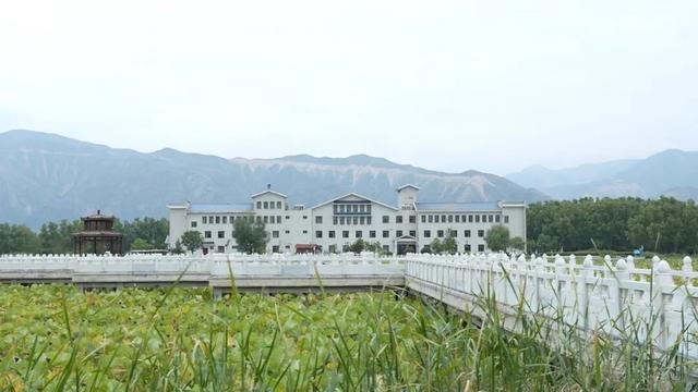 在白银邂逅黄河之美！荷塘寻幽、花海打卡、露营观星，这份文旅攻略请收好