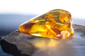 看看琥珀什么颜色最珍贵，了解清楚了，避坑不踩雷图片