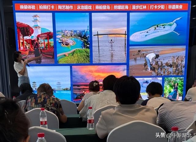 广西北海赴武汉揽客 推介秋冬邮轮出境游