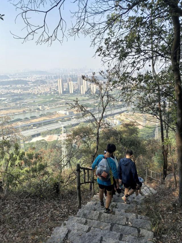 徒步“画马”赢景区免费门票！番禺文旅邀你“放马过来”