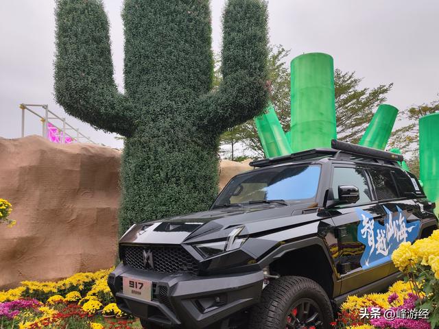 逛小榄菊花会，百年非遗绽新姿，寻味菊花特色美食