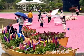 赏花买花还能摘花！上海鲜花港郁金香花展开幕 8大新景点解锁新玩法图片