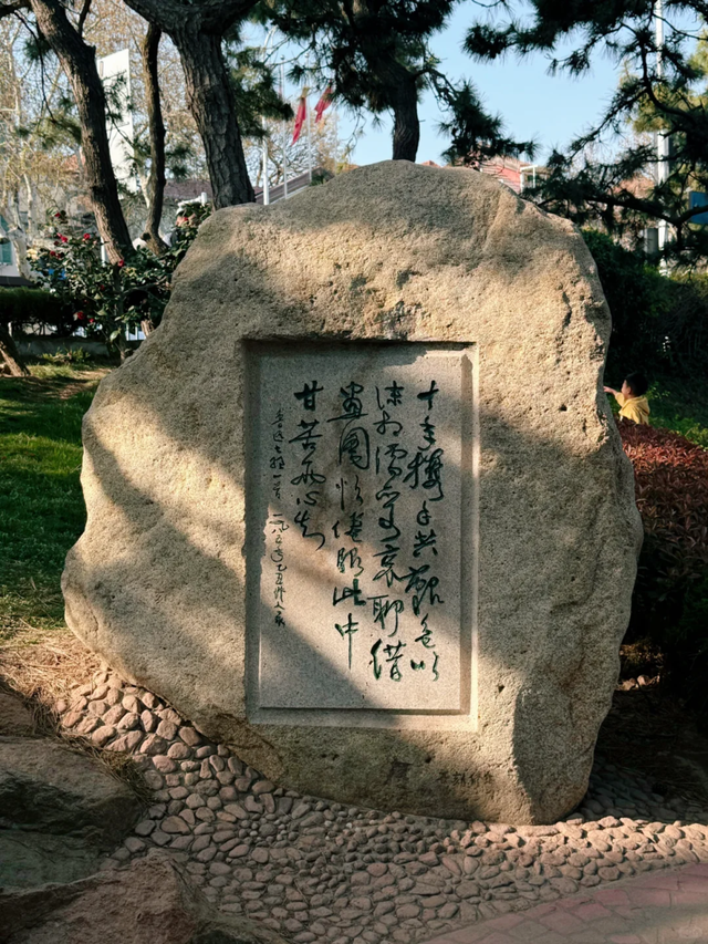 立秋之后，青岛人把养生藏在市南的四个公园里