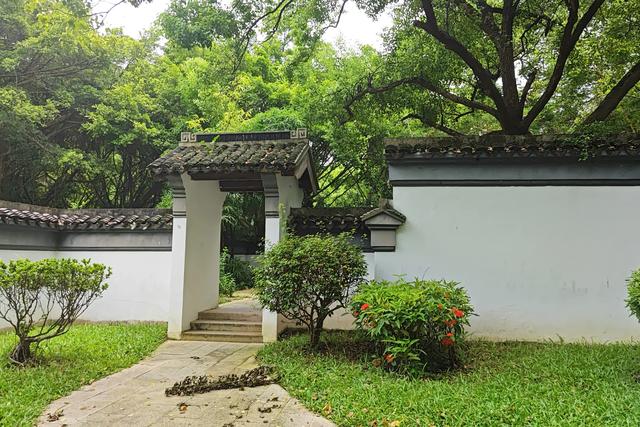 深圳最容易被忽略的高颜值公园,丛林秘境随处都是风景大片