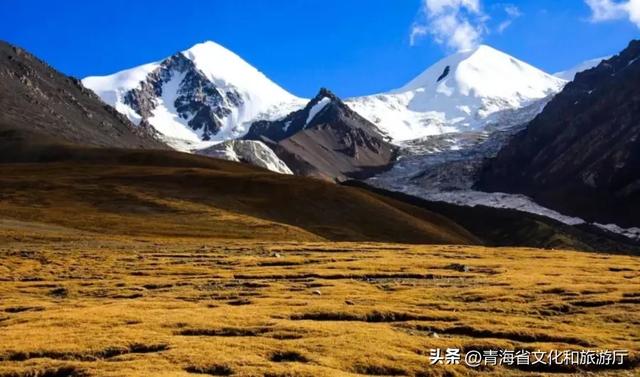 青海初冬：静谧藏诗意，温柔入画来