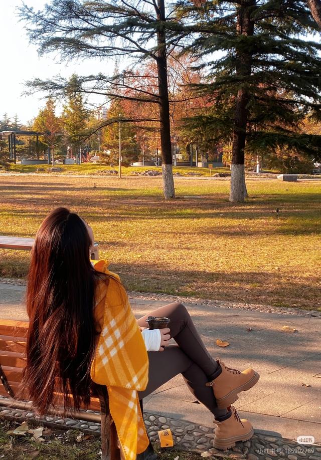 临沂市区赏秋地图出炉！红枫、银杏、落叶道…承包你的秋日朋友圈