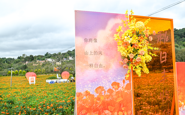 弥勒全新打卡地来袭！从早嗨到晚！离城不远~