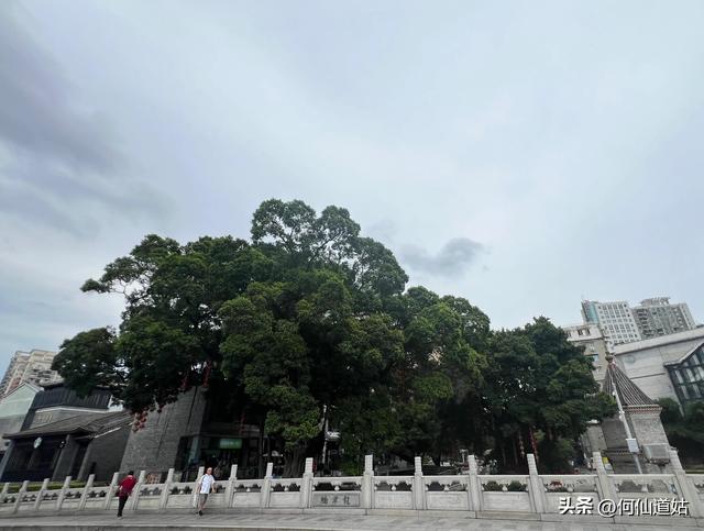 荔枝湾