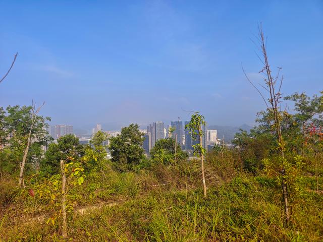 塘朗山郊野公园火车道口与绿平二路段，爬坡酸爽，骑友的天堂