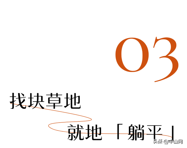 太出片啦！中山焦糖色「落羽杉」上线