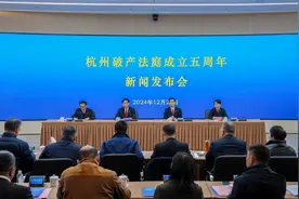 祐康、杭州新华、东风裕隆……杭州破产法庭发布五周年“答卷”图片