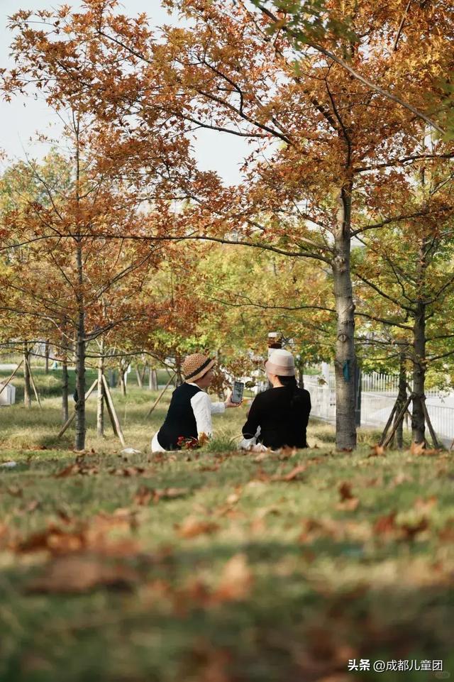 成都公园地图丨晒太阳不打挤的20个公园,东南西北全覆盖