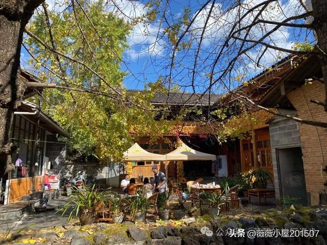 腾冲秘境：火山沉寂，绽放的地质与自然之美