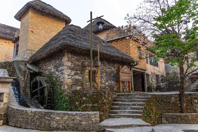 周年限定！快来阿者科当一天“哈尼公主”