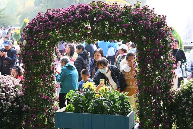 仪式感拉满 中山公园第41届菊展邀你共赴秋日之约