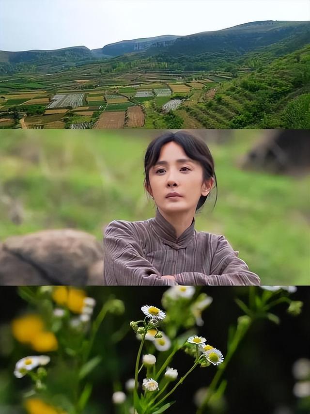 看完《红高粱》，再看《生万物》，我想说：没有对比就没有伤害