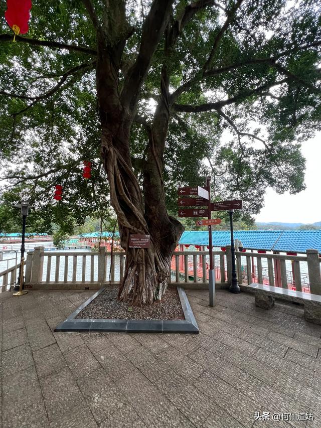 游流溪河森林公园