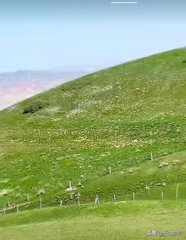 南山南