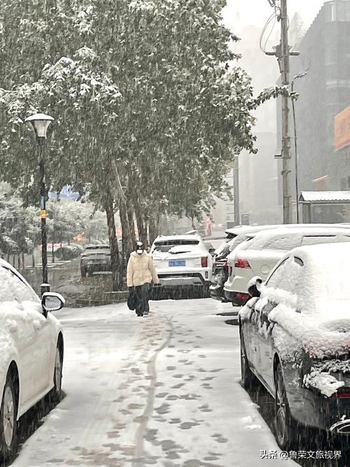 2025第一场雪赴长安：西安变回长安的素白之约