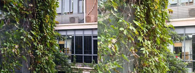 安卓用户“跳槽”iPhone 17体验如何？升级够大，但不完美