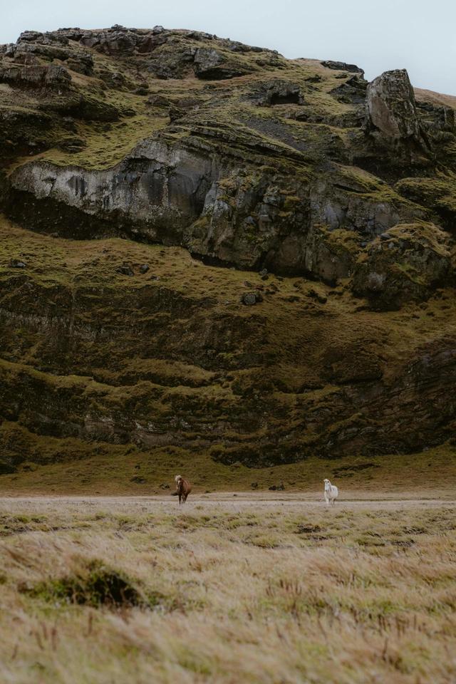 这几种地方，秋景格外出片