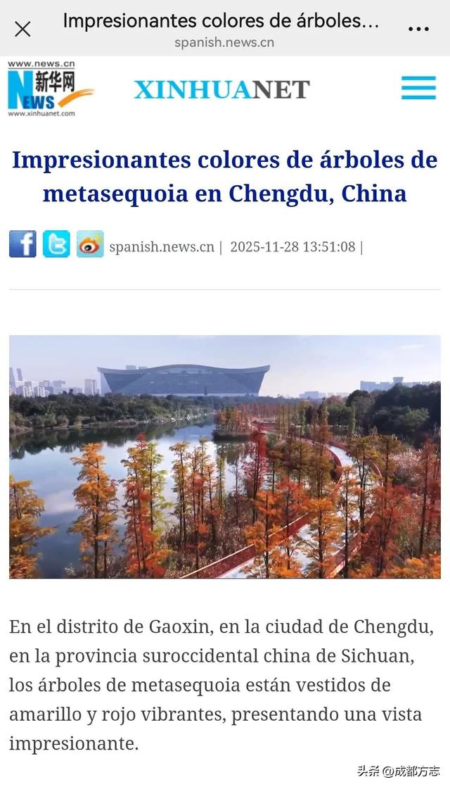 火出圈！外交部发言人也在关注成都这抹红→