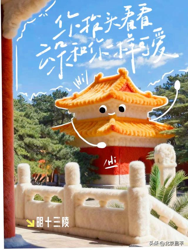 降温啦！一起拥抱“毛茸茸”的冬天