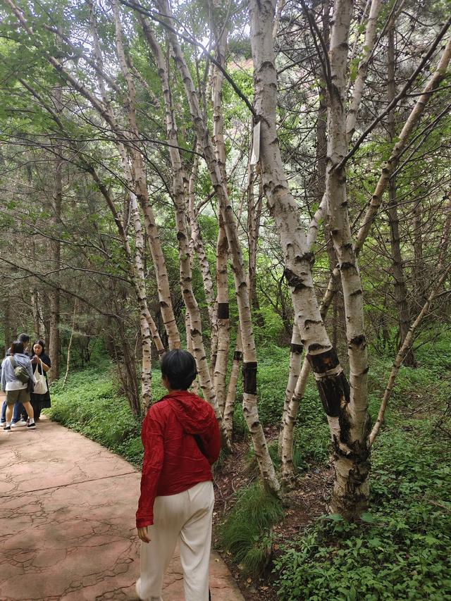 从甘肃到宁夏，我们走了一条绝美的风景之路，你不来看看吗？