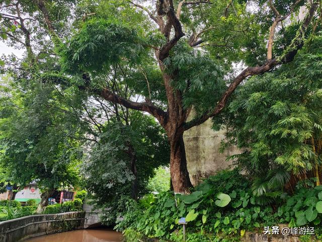 钦州中山公园，其历史最早可追溯到北宋，天涯亭是园内唯一的古迹