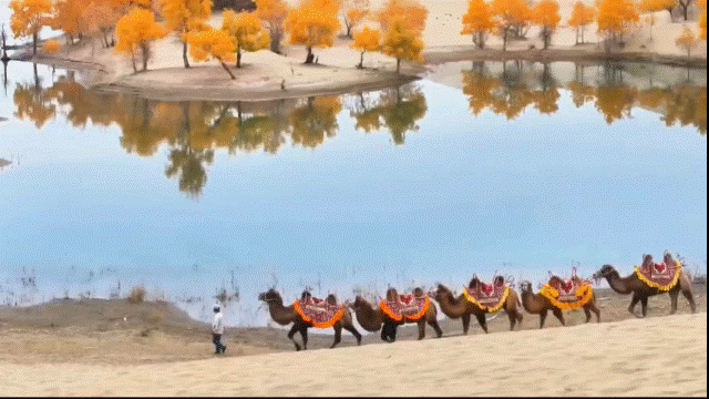 和田翡翠湖 颜值100分