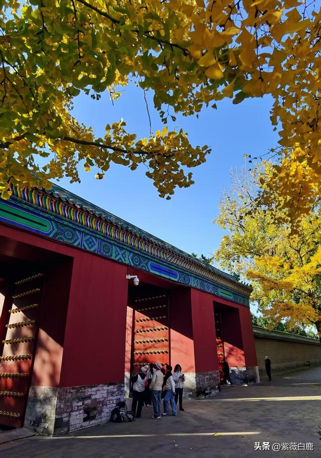 这个秋天，我在地坛