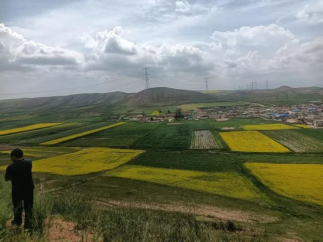 《油菜花海禅院间》——坪城歇地沟采风录