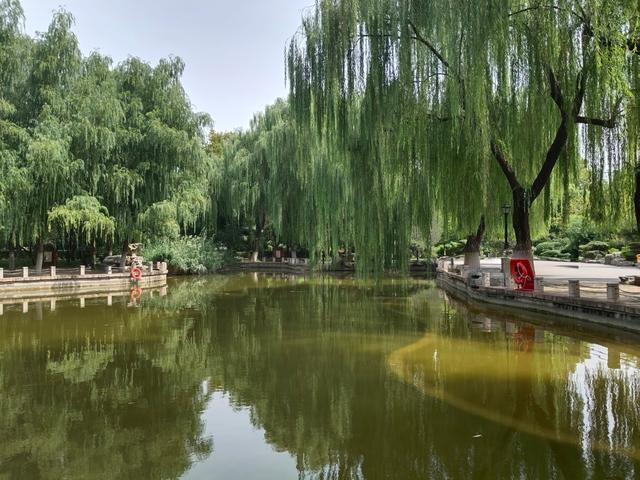 初秋的济南市百花公园