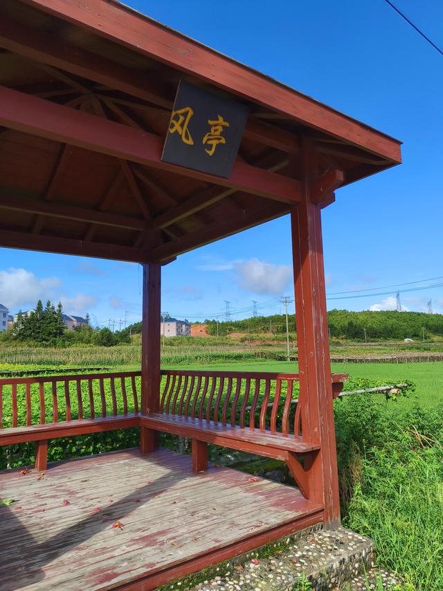 福建 · 福州 · 闽侯 · 大湖 · 稻花飘香(2025·7·28～8·1)
