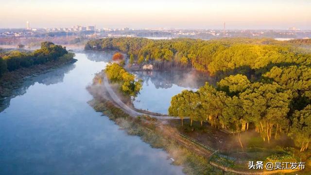 周末去打卡丨来吴江，“捡秋”！